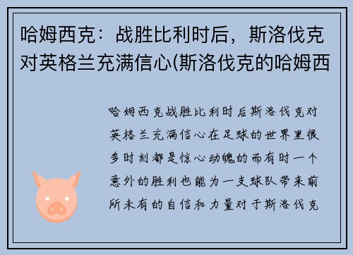 哈姆西克：战胜比利时后，斯洛伐克对英格兰充满信心(斯洛伐克的哈姆西克)